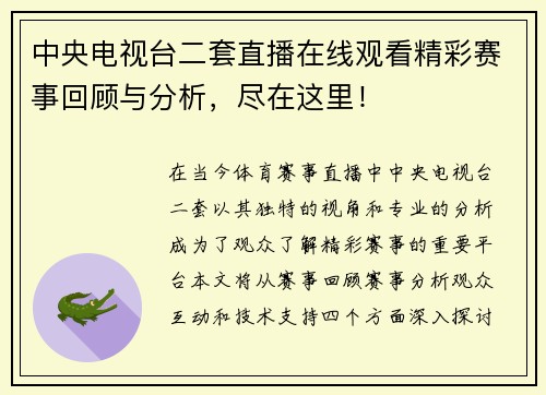 中央电视台二套直播在线观看精彩赛事回顾与分析，尽在这里！